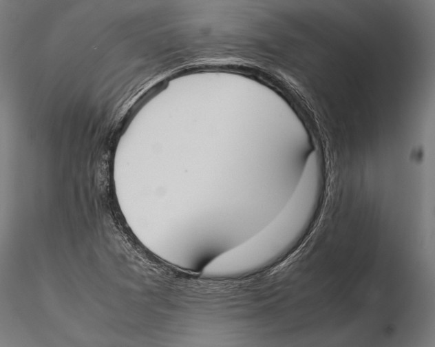 X0000115601361200912081103