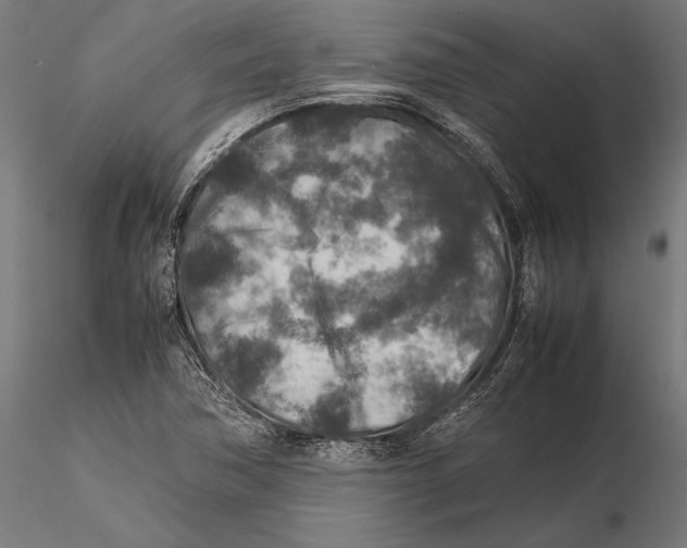 X0000115601362200912081103