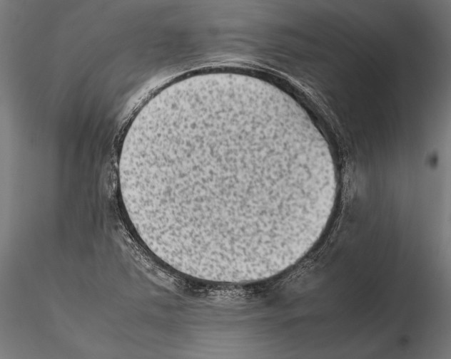 X0000115601363200912081103