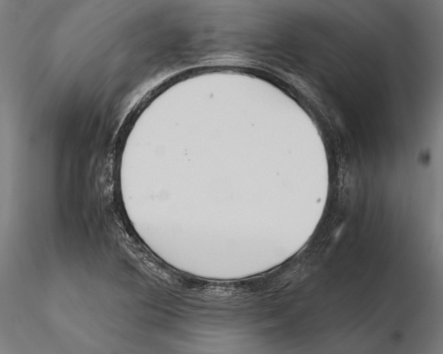 X0000115601364200912081103