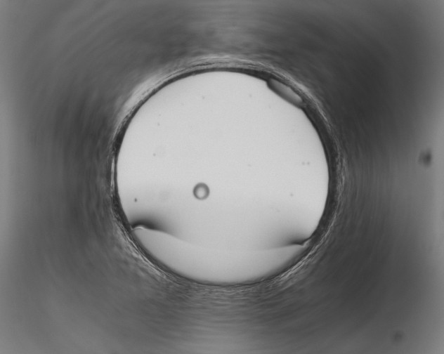 X0000115601365200912081103