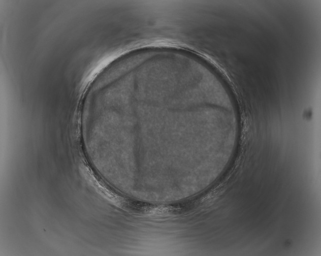 X0000115601367200912081103