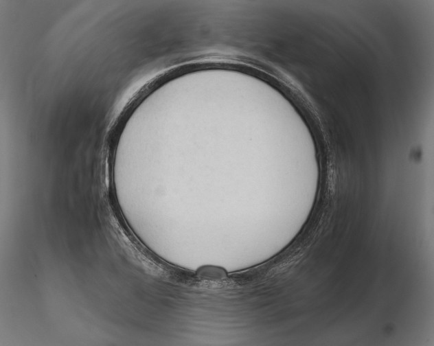 X0000115601368200912081103