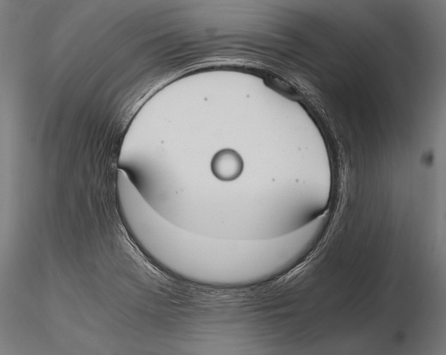 X0000115601369200912081103