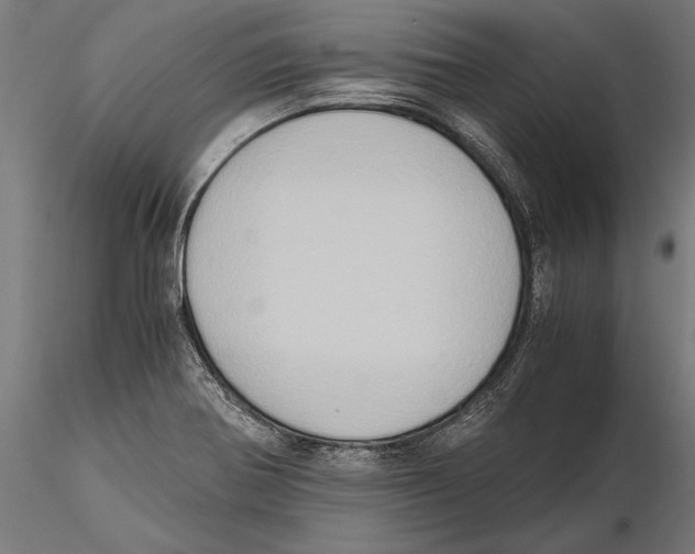 X0000115601370200912081103