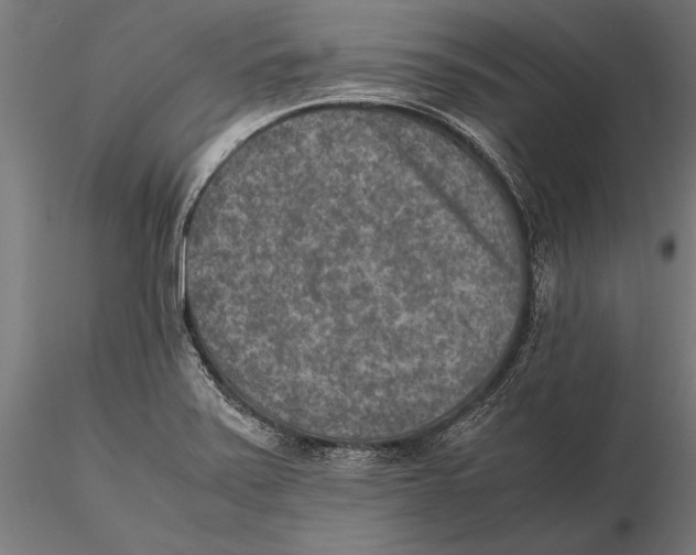 X0000115601371200912081103