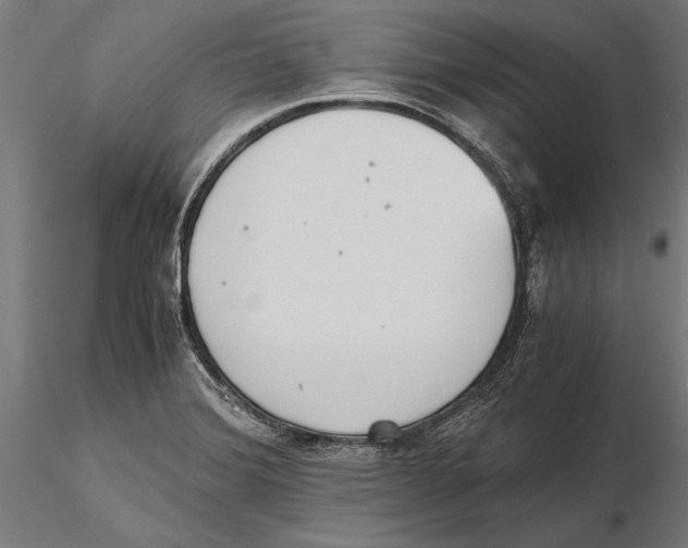 X0000115601372200912081103