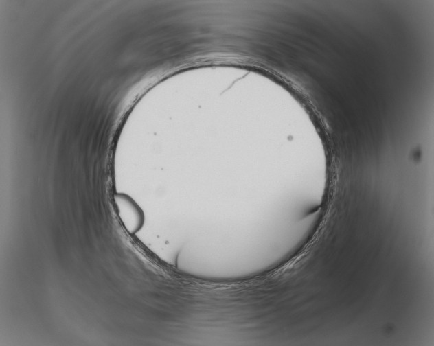 X0000115601373200912081103