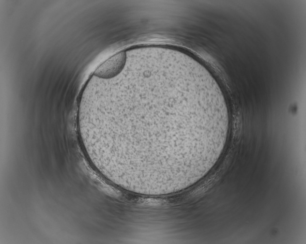 X0000115601374200912081103