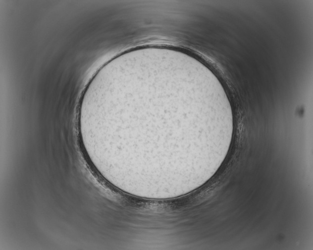 X0000115601375200912081103