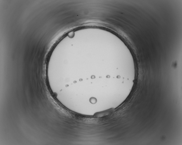 X0000115601376200912081103