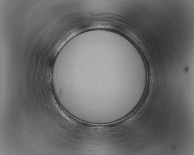 X0000115601377200912081103