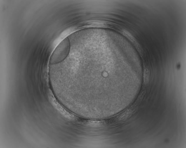 X0000115601378200912081103