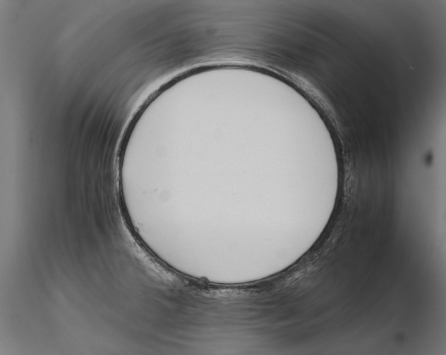 X0000115601380200912081103