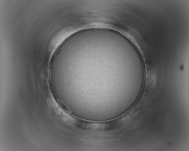 X0000115601381200912081103