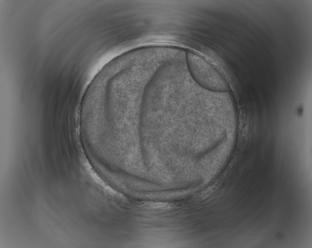 X0000115601382200912081103