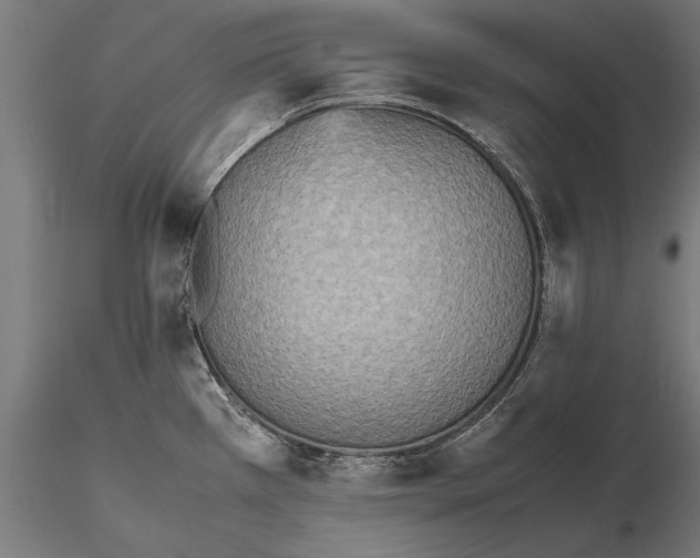 X0000115601385200912081103