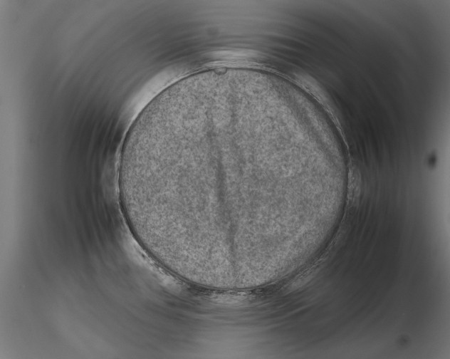 X0000115601386200912081103