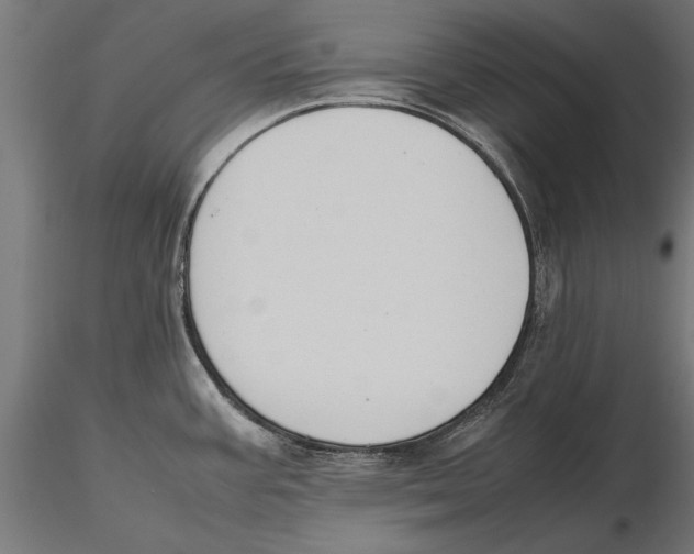 X0000115601387200912081103