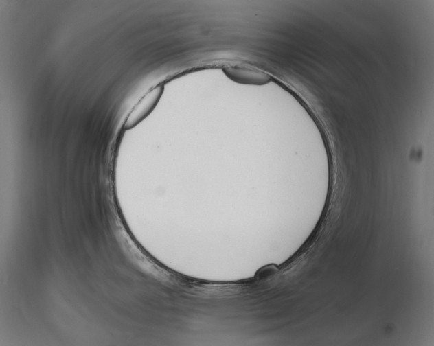 X0000115601392200912081103