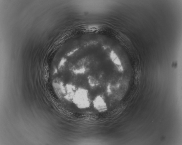 X0000115601394200912081102