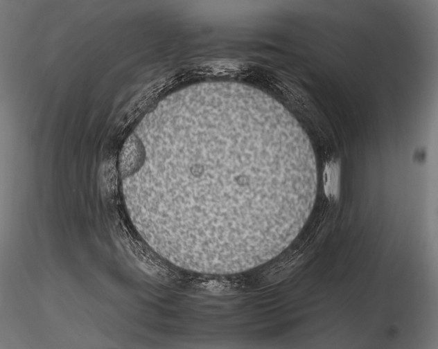 X0000115601395200912081102