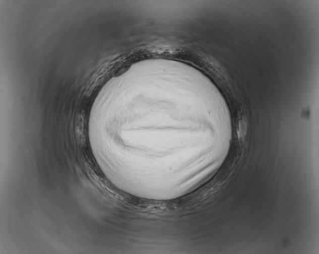 X0000115601396200912081102