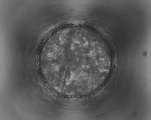 X0000115601398200912081102