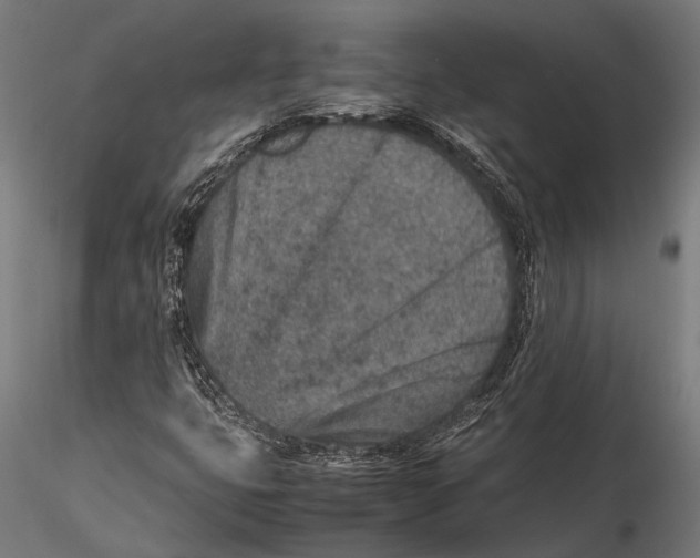 X0000115601399200912081102