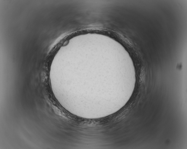 X0000115601400200912081102