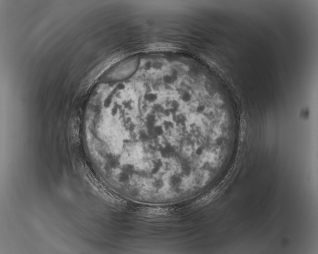 X0000115601401200912081102