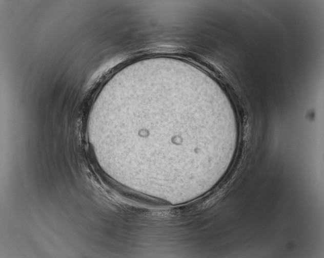 X0000115601402200912081102