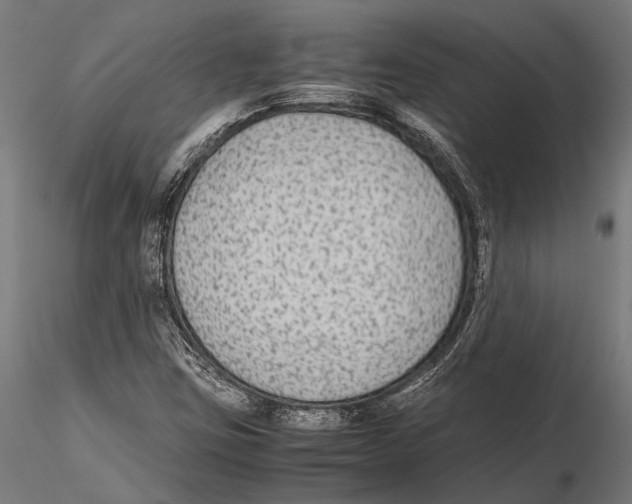 X0000115601403200912081102