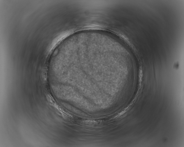 X0000115601405200912081102