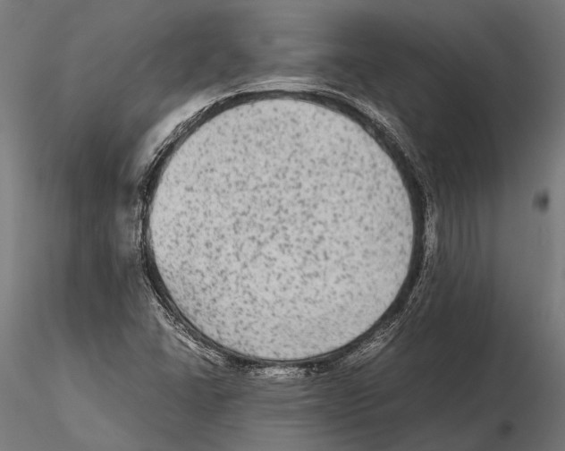 X0000115601406200912081102