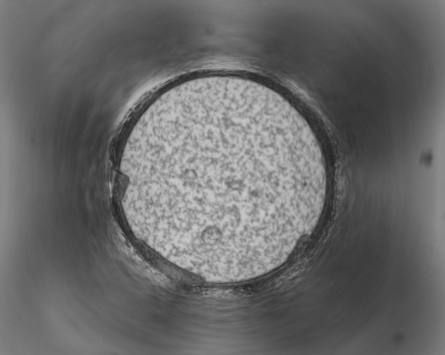 X0000115601408200912081102