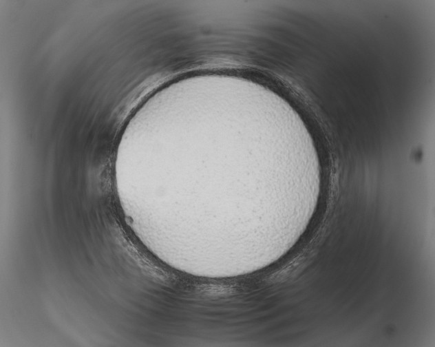 X0000115601409200912081102