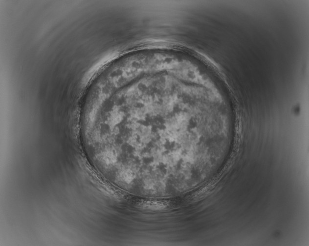 X0000115601411200912081102