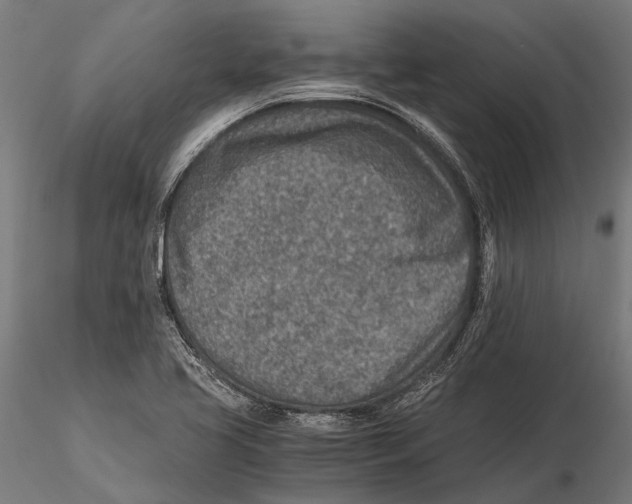 X0000115601413200912081102