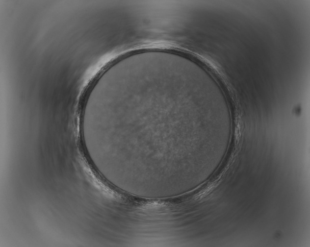 X0000115601414200912081103