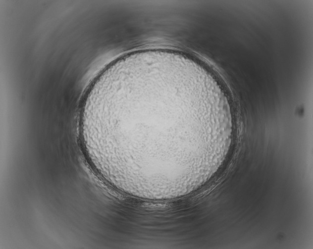 X0000115601415200912081103