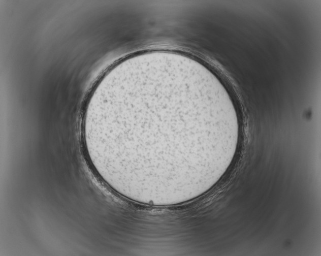 X0000115601416200912081103