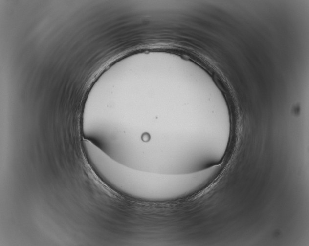 X0000115601417200912081103