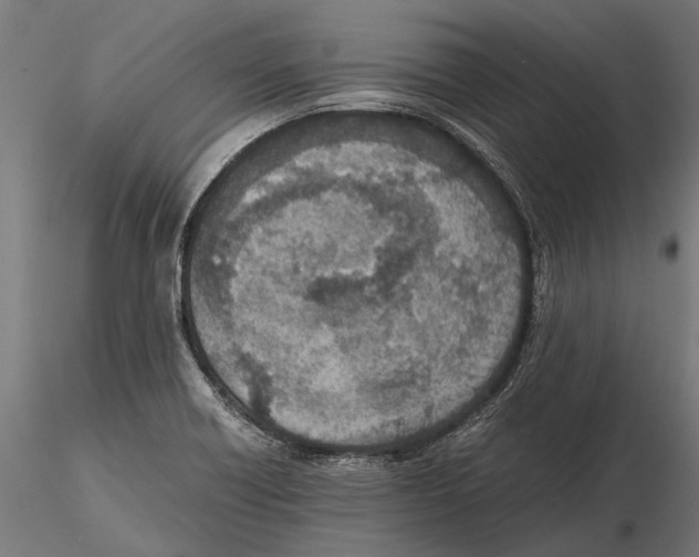 X0000115601418200912081103