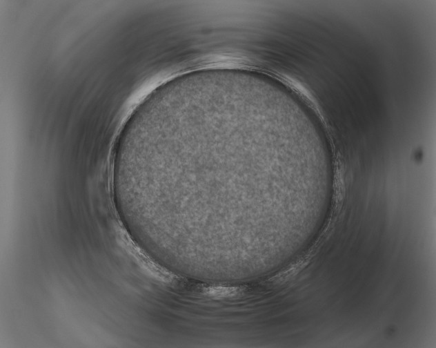 X0000115601419200912081103