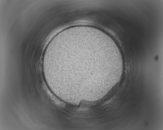 X0000115601421200912081103