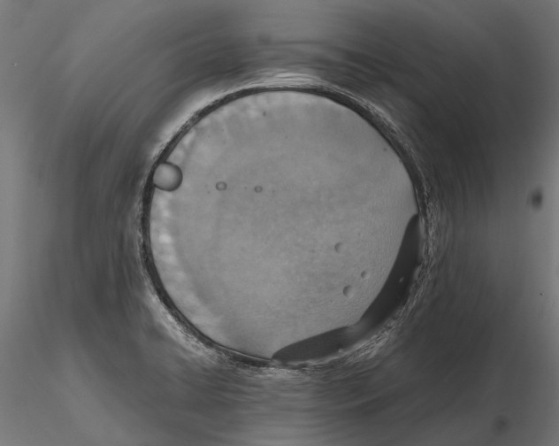 X0000115601422200912081103