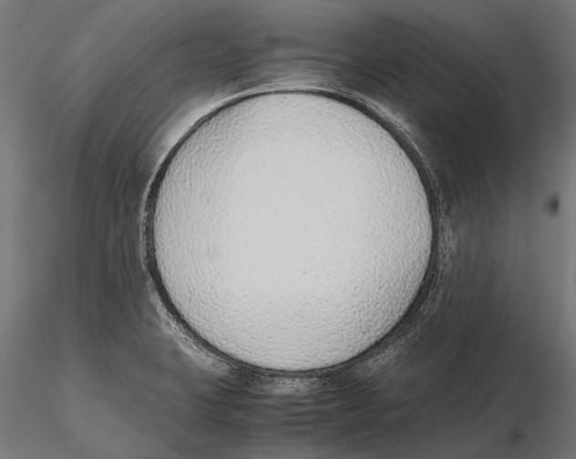 X0000115601423200912081103