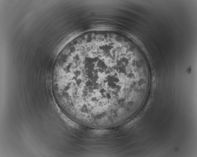 X0000115601425200912081103