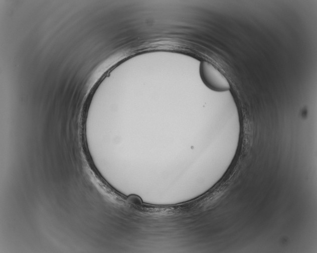 X0000115601426200912081103